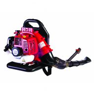 Въздуходувка бензинова RAIDER GB06 1.25 kW 70m/s /077402