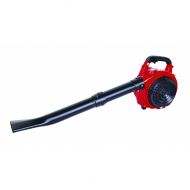 Листосъбирач бензинов RAIDER GBV05 750W 30L /077401