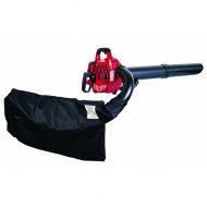 Листосъбирач бензинов RAIDER GBV05 750W 30L /077401